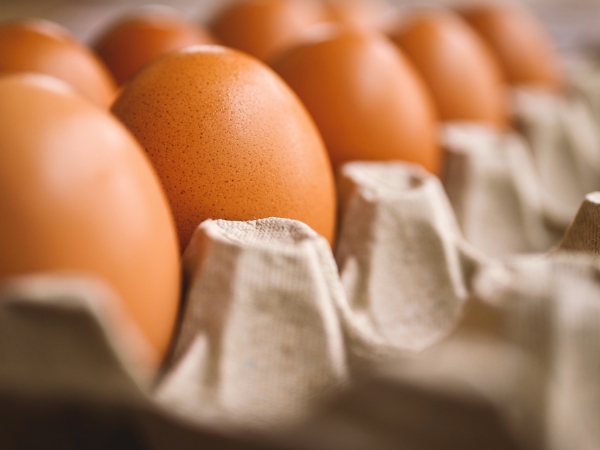 Les secrets des œufs
