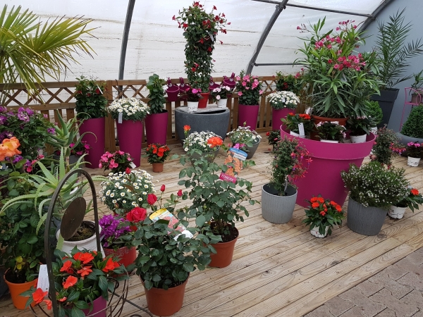 Les Floralies Maison Eyraud accueillent le printemps avec leurs portes ouvertes
