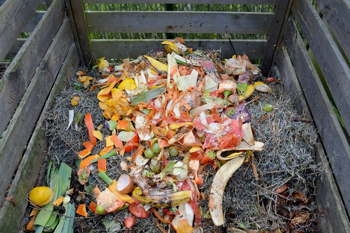 Le compost s’invite dans notre quotidien