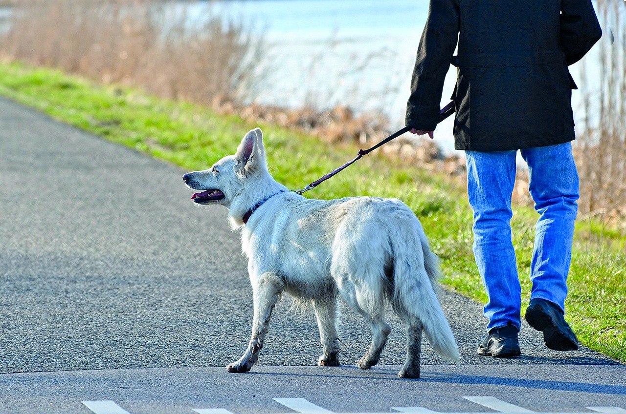 Prendre l’air… en restant à 1 km de chez soi