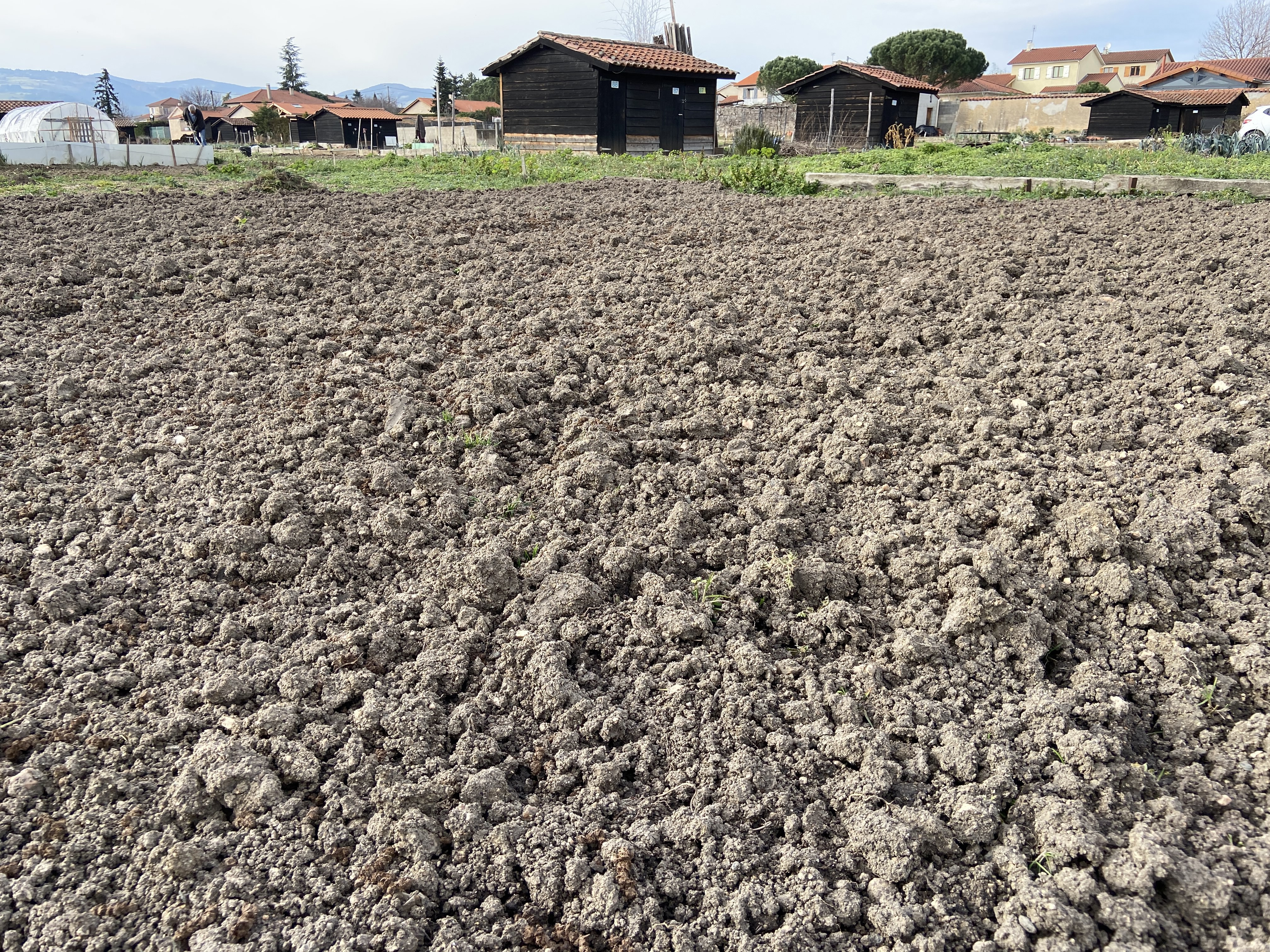 Un potager  à la maison ? C’est le moment !