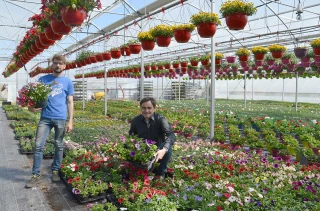 Vernet Horticulture : retour aux plaisirs essentiels