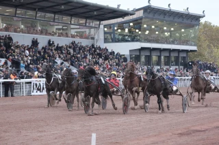 Le 23 juin, le public a de nouveau rendez-vous à l’hippodrome de Feurs !