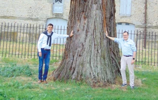 Un guide pour découvrir 28 arbres remarquables
