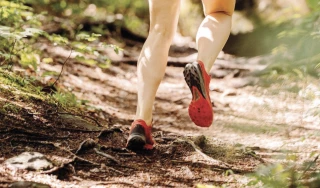 Endurance et mental, les clés d’une bonne préparation au trail