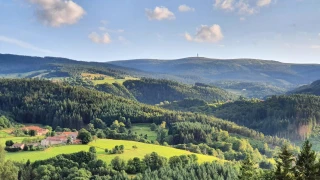 La fourme de Montbrison à l’honneur pour les 20 ans de l’AOP