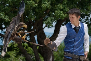 À la Volerie du Forez, envolez-vous au cœur des traditions !