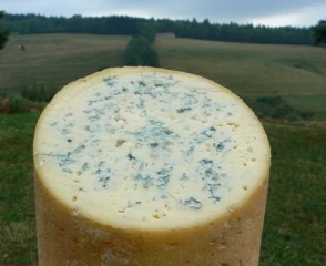 Fourme et tradition : l’un ne va pas sans l’autre