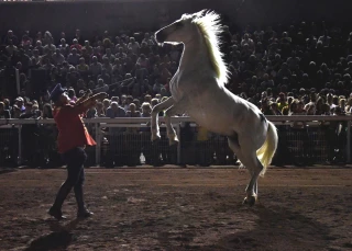 Un programme en or pour la Fête de l’hippodrome
