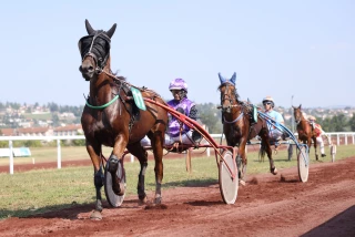 Journée de gala le 16 octobre à l’hippodrome de Saint-Galmier