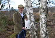 La sève de bouleau bio du Forez, un concentré de nature et de fraîcheur