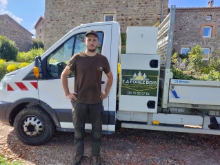 TA Forez Bois, un arboriste grimpeur entre ciel et racines
