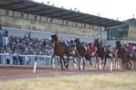 Feurs s’apprête à vibrer au rythme du Grand National du Trot !