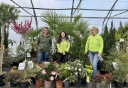 Arbr’expo : trois générations au service du végétal