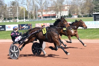 Hippodrome de Feurs : au cœur de la vie locale