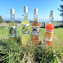 Brute et Sauvage, des créations locales qui accompagnent vos rires de l’apéro au digeo !