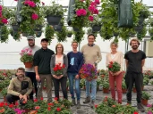 La saison des plantations est lancée chez Vernet Horticulture