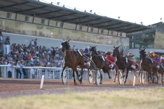 Dès le 20 juin, l’été sera chargé à l’hippodrome de Feurs