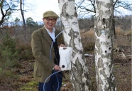 La sève de bouleau bio du Forez, un trésor brut à boire frais